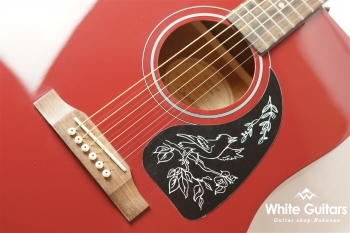 Starling Acoustic Guitar Player - Wine Red